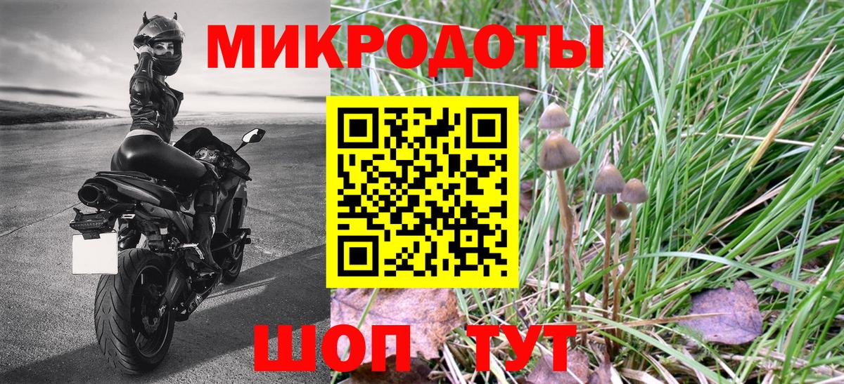 Галлюциногенные грибы MAGIC MUSHROOMS  Вход с VPN  Новосибирск  Галлюциногенные грибы прущие грибы 